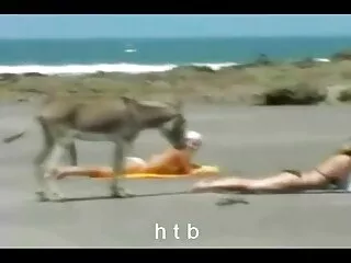 Hải lý chew ki thư nữ sĩ quan ki nhất tiến hành kiểm tra.
