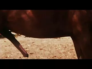 Gợi ý, và tiếng Ấn độ video công khai sau đó, ông